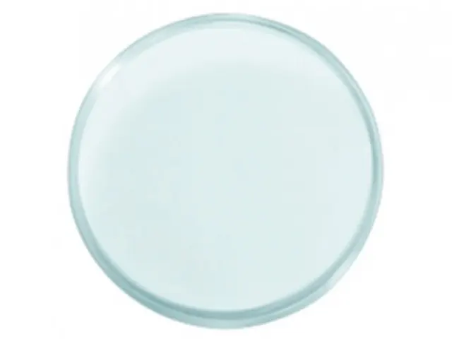 Placa de Petri em PS sem Divisão 140x15mm