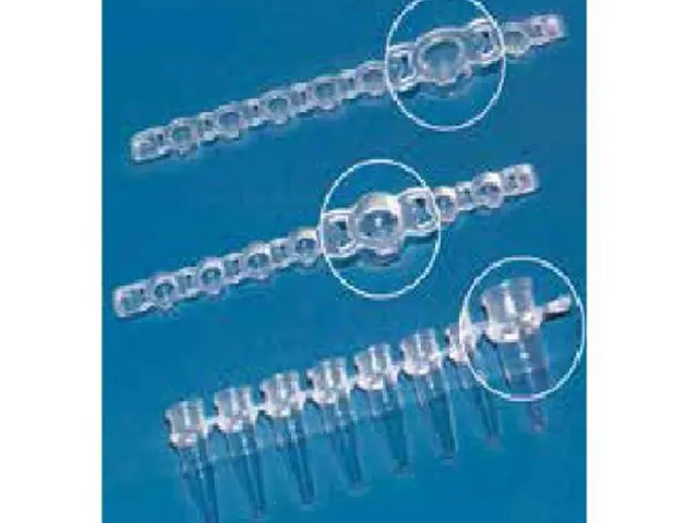 Tira 8 Tampas Arredondadas em PP Transparente para Tubo PCR 0.2ml Brand