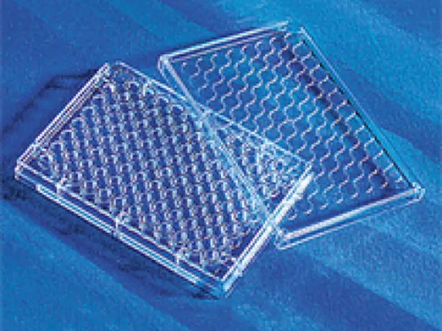 Placa 96 Poços Fundo Plano em PS Estéril para Cultura de Células Corning