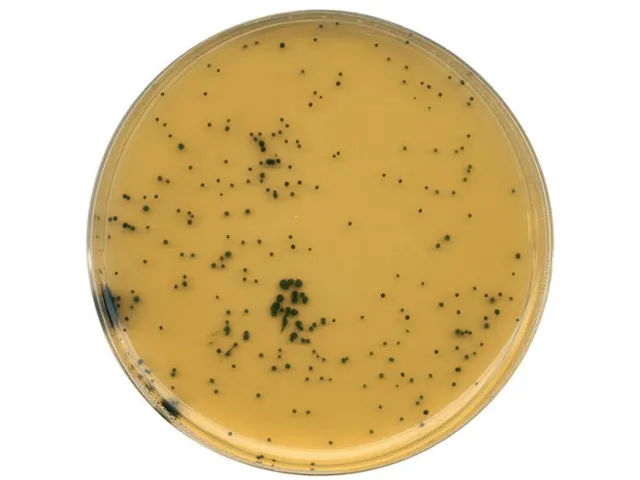 Ágar TSA Tryptone Sulfite Cycloserine Base Merck 500g