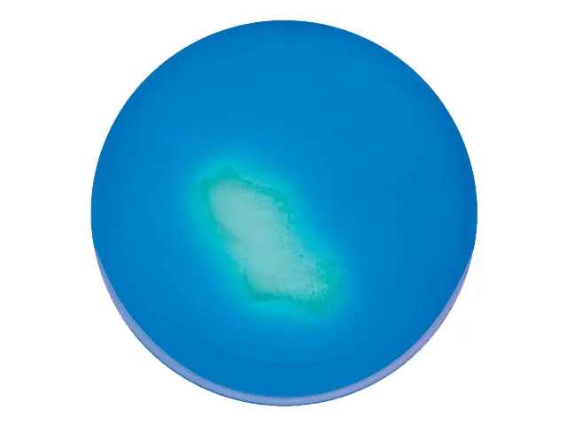 Meio MSRV Base Modificado Merck 500g