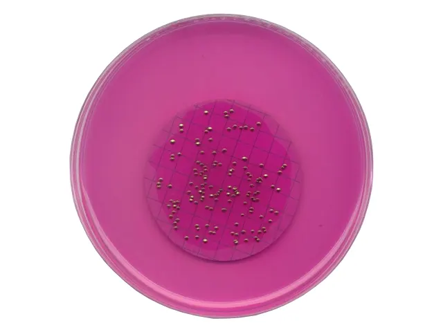 Ágar M-Endo LES Merck 500g