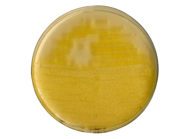 Ágar F para Pseudomonas Merck 500g