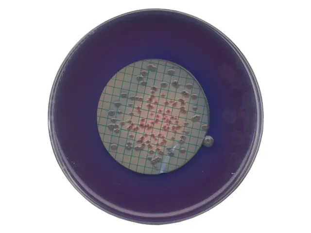 Ágar m-FC Merck 500g