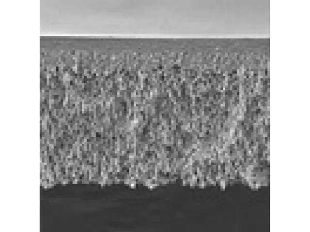 Membrana de Ultrafiltração PLAC 1KNMWL Celulose Regenerada Millipore 63.5mm