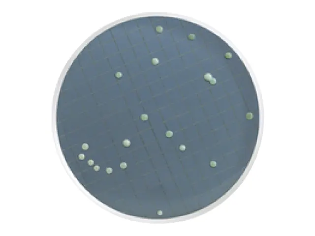 Meio Wallerstein para Bactérias, Mofos e Leveduras Millipore Ampola 2ml