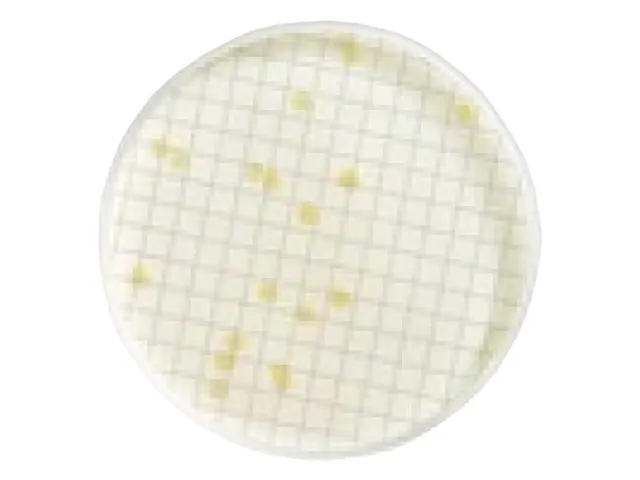 Caldo TGE Desidratado Pó para Contagem Total de Bactérias Millipore