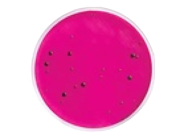 Ágar M Endo Les Coliformes Conf STD Methods Milliflex Millipore