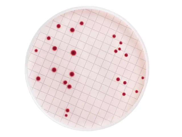 Caldo M Endo Desidratado Millipore 100gr