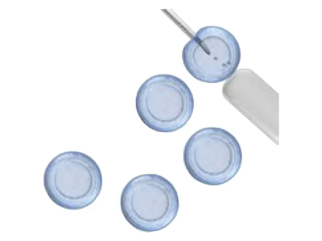 Meio de Cultura Congelamento 2X para ES 20% DMSO e SFB Embriomax Millipore 100ml