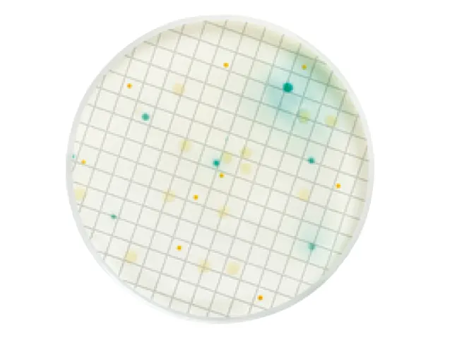 Meio Pseudomonas Millipore Ampola 2ml