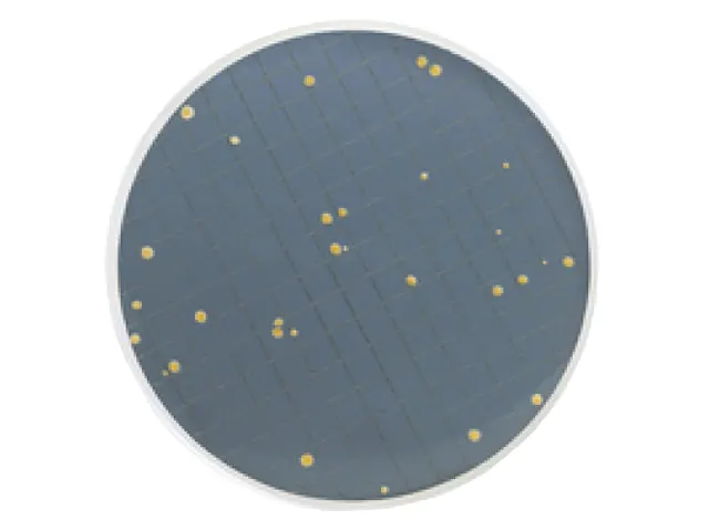 Meio Pry para Leveduras Resistentes a conservantes Millipore Ampola 2ml