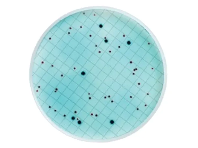 Meio M FC para Coliformes Fecais Millipore Ampola 2ml