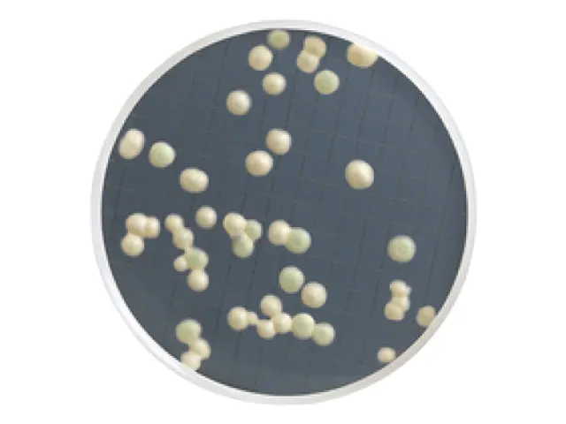 Meio Seletivo para Leveduras Millipore Ampola 2ml