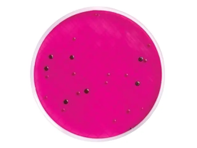 Meio M Endo para Coliformes Totais Millipore Ampola 2ml