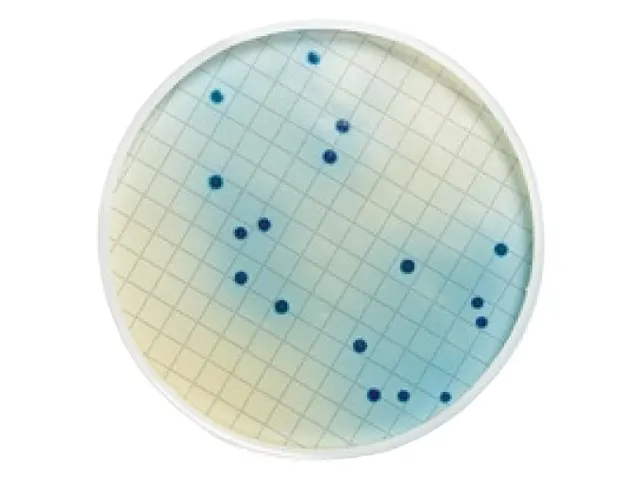 Meio M FC Desidratado para Determinação de Coliformes Fecais Millipore 113.5g
