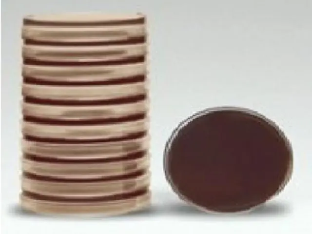 Meio de Cultura Ágar Chocolate em Placa 90x15mm Laborclin