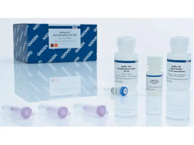 Kit Purificação DNA QIAquick Gel Extraction Rendimento 250 Purificações Qiagen