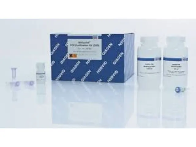 Kit Purificação QIAquick PCR Purification Rendimento 250 Purificações Qiagen