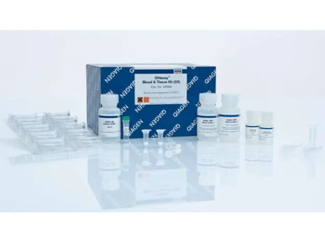 Kit Extração DNA DNEASY Blood & Tissue 50 Extrações Qiagen