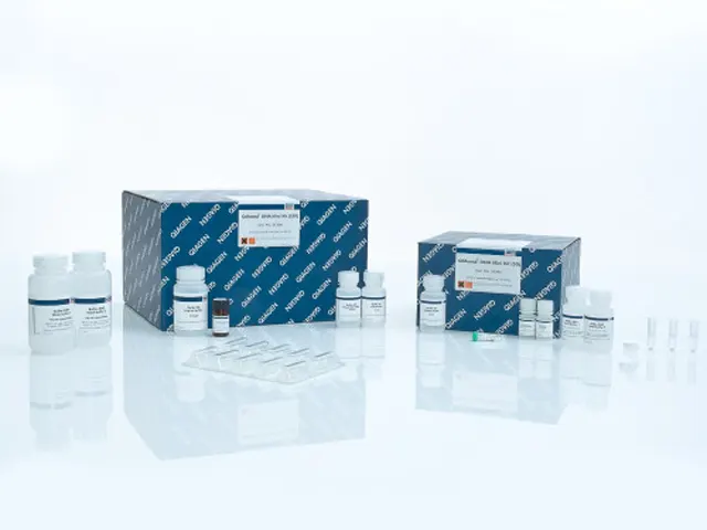 Kit Extração RNA Qiaamp Viral Mini 250 Extrações Qiagen