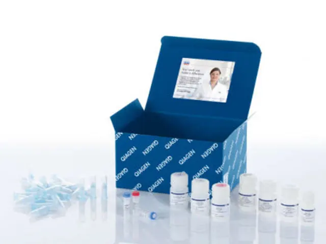 Kit Extração DNA Qiaprep Spin Miniprep 250 Extrações Qiagen