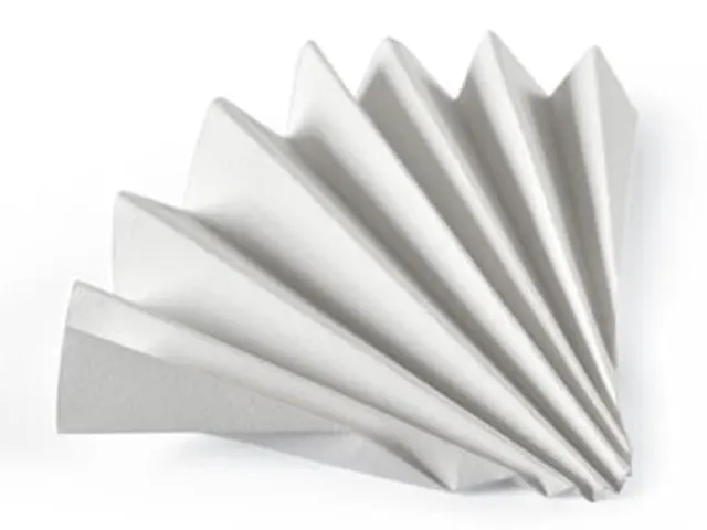 Papel Filtro Qualitativo GR 597 FF 240mm Whatman Cytiva 100 Unidades