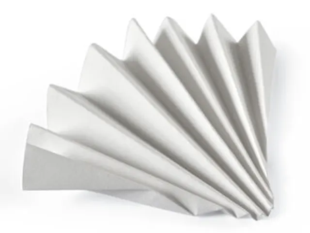 Papel Filtro Qualitativo GR 597 FF 320mm Whatman Cytiva 100 Unidades