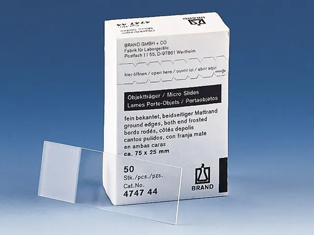 Lâmina em Vidro para Microscopia Brand 26x76mm 2.500 Unidades