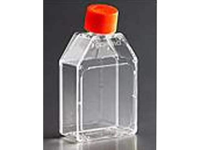 Frasco Retangular para Cultivo de Células 25cm² Tampa Plug Seal Estéril Corning 500 Unidades