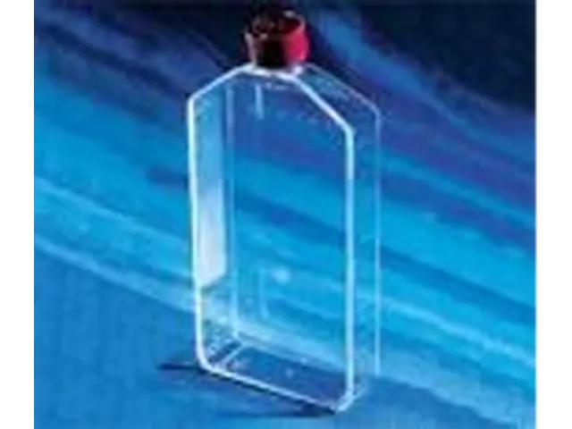 Frasco para Cultura de Células Retangular 175cm² Canted Vent Cap CellBind Estéril Corning 50 Unidade