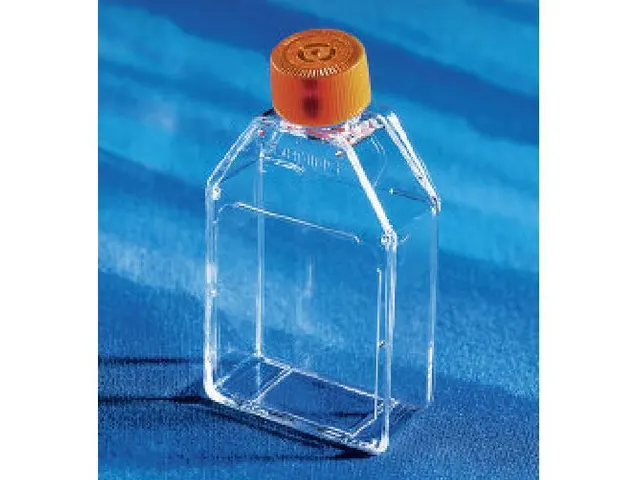 Frasco Retangular para Cultura de Células 25cm² Tampa Vent Superfície Estéril Corning 200 Unidades