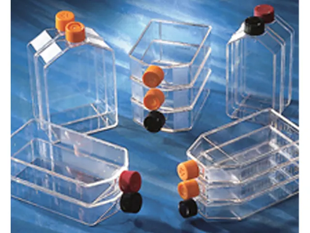 Frasco Retangular para Cultura de Células 150cm² T. Canted Vent Cap Estéril Corning 50 Unidades