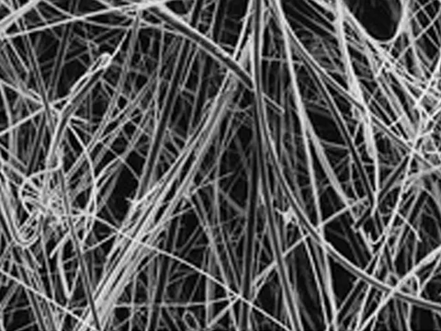 Filtro Fibra de Quartzo AQFA 47mm Millipore 100 Unidades