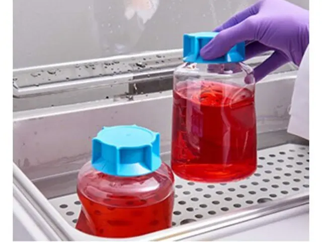 Frasco Receptor Liberação Rápida 500ml Stericup Millipore 12 Unidades