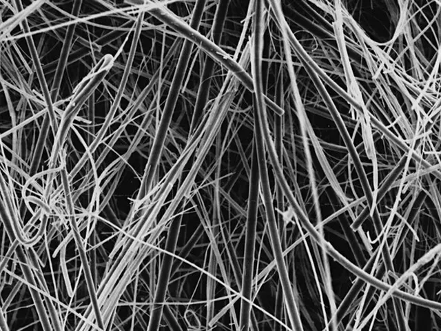 Filtro Microfibra de Vidro 47mm Poro 2.7µm Isento de Resina Millipore 100 Unidades