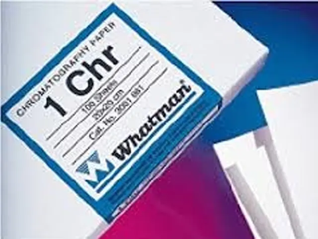 Papel para Cromatografia 1CHR 460x570mm Whatman Cytiva 100 Unidades