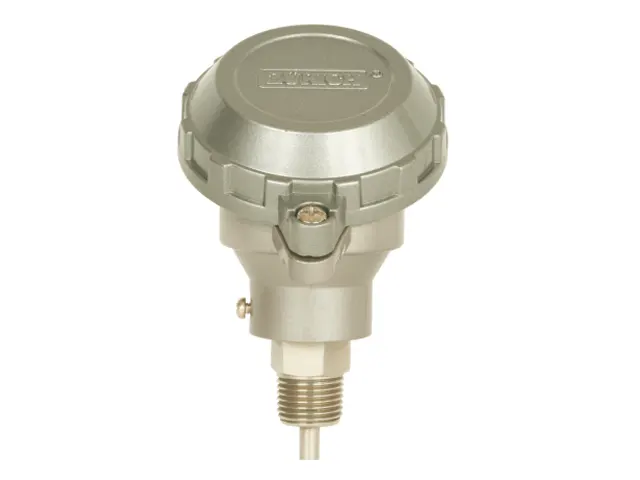 Sensor de Temperatura Duplo PT.100.DUPLO