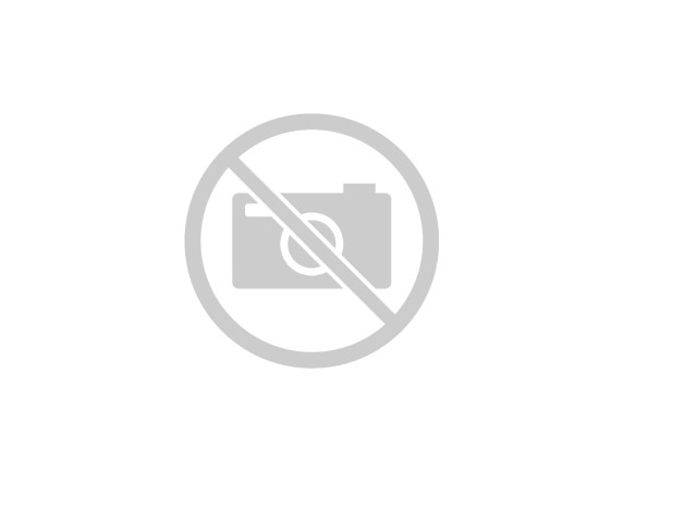 Agitador Inox para Tanque de Leite